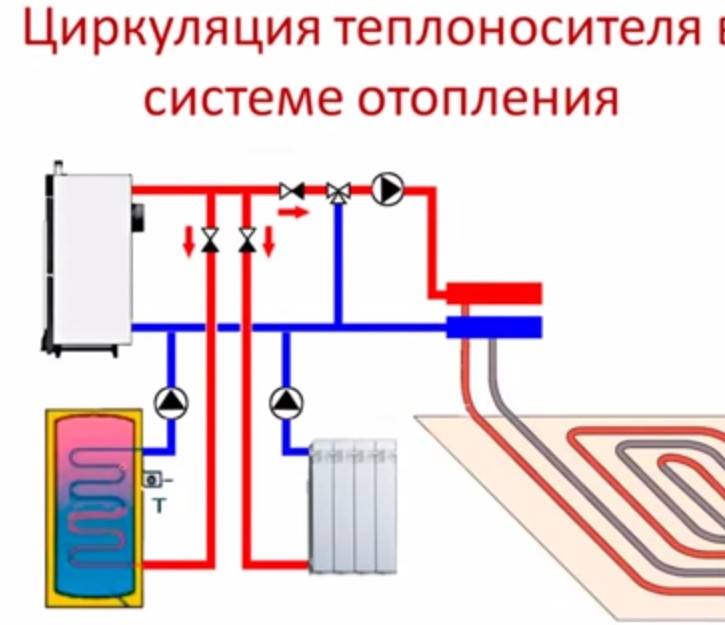 Почему плохо греет котел. Схема циркуляции воды в системе отопления батарея. Система циркуляции воды в батареях отоплениях. Циркуляция теплоносителя в радиаторе. Циркуляция теплоносителя в системе отопления.