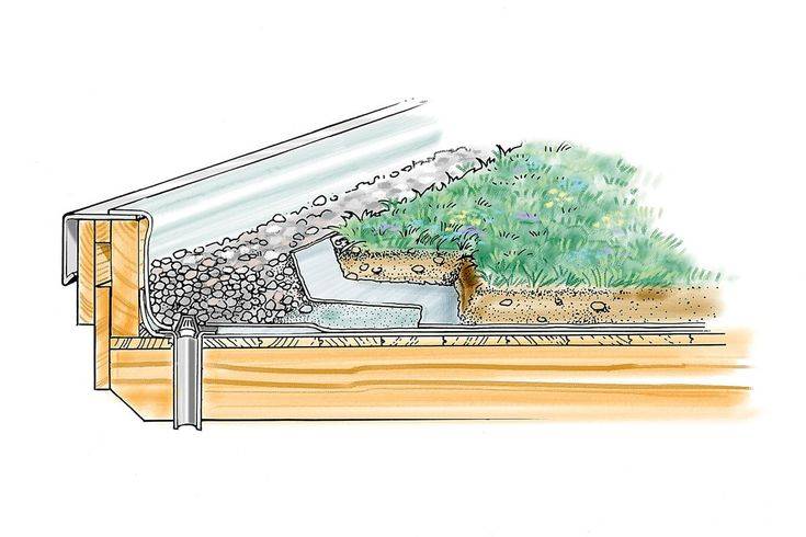 Озеленение крыш домов, зданий – технологии и особенности