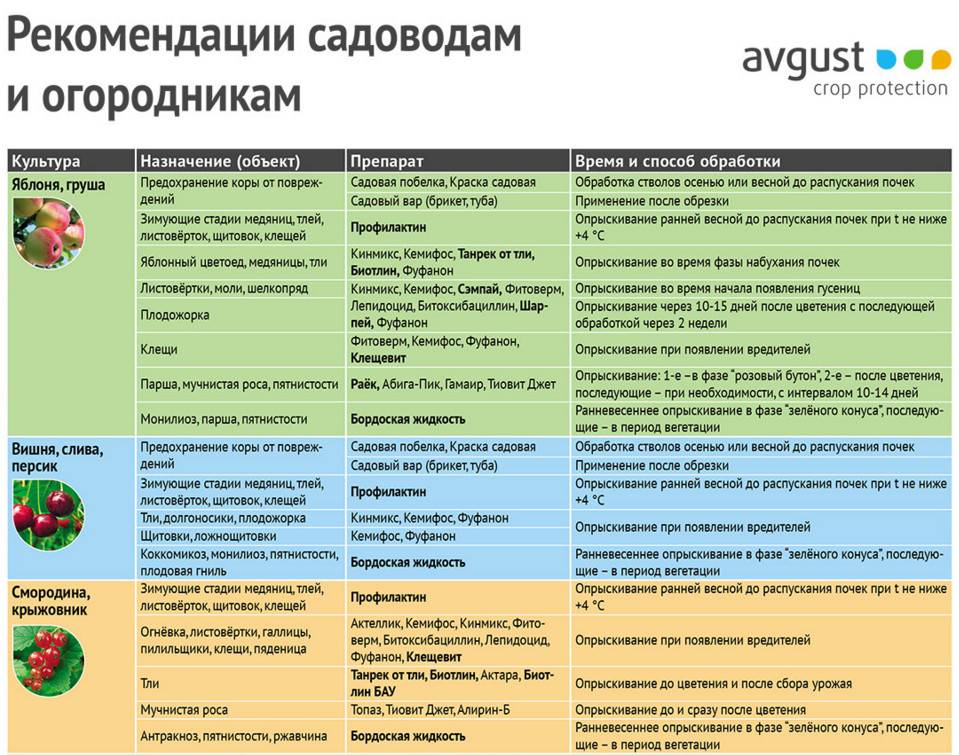 Можно есть дерево. Схема обработки плодовых деревьев от болезней и вредителей. Обработка плодовых деревьев весной от вредителей и болезней таблица. Средства защиты плодовых деревьев от вредителей и болезней весной. Схема защиты плодовых деревьев.