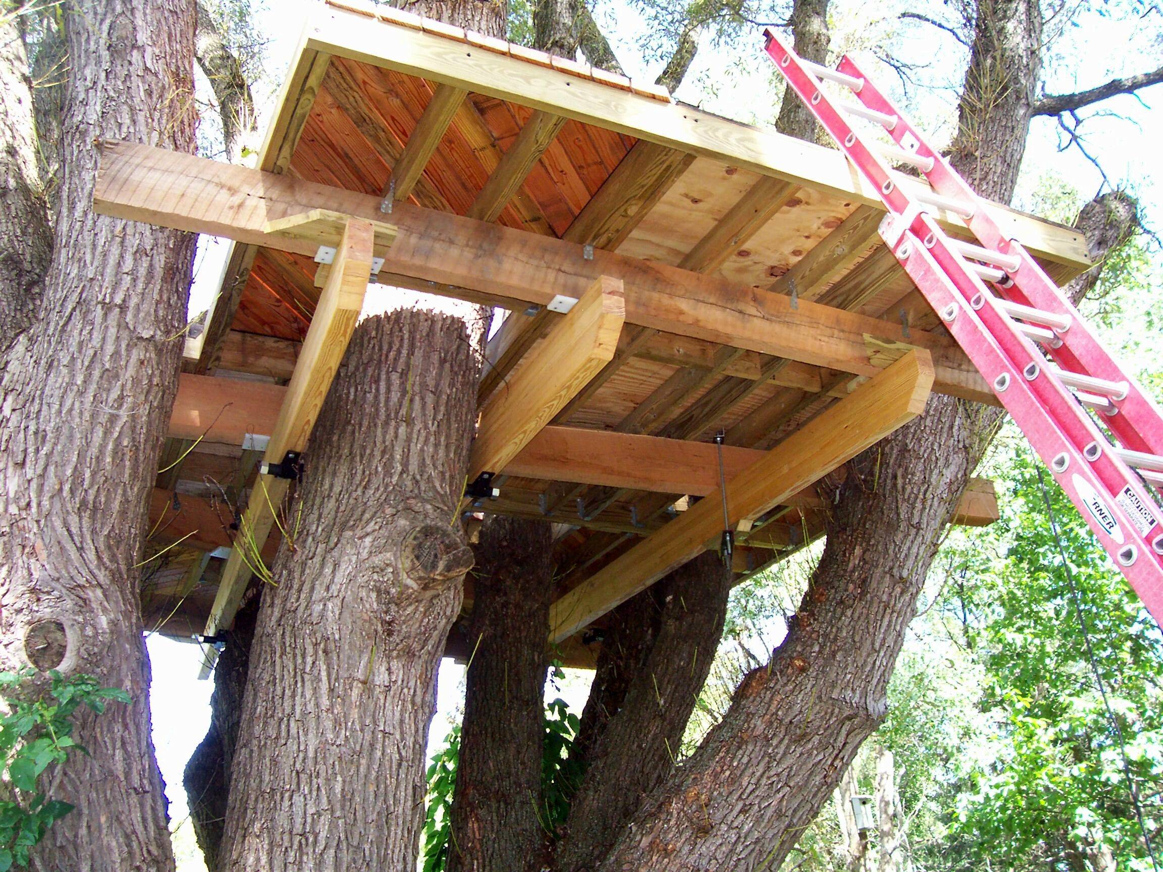 Домик на дереве своими руками - инструкция по строительству!