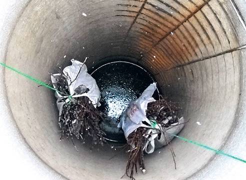 Очистка воды любой сложности
