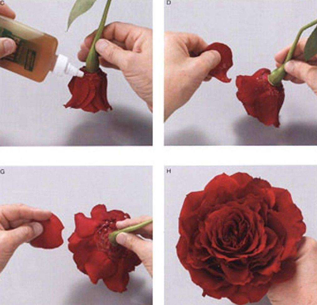 ᐉ как делаются искусственные цветы. мастерство изготовления цветов своими руками из различных материалов. цветы для дома ✅ igrad.su