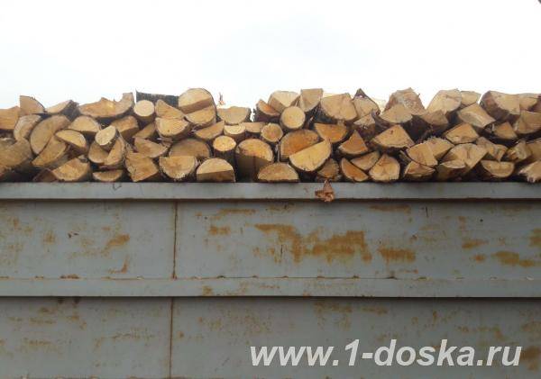 Какие дрова лучше для печки: плюсы и минусы дубовых, берёзовых и еловых поленьев для отопления частного дома