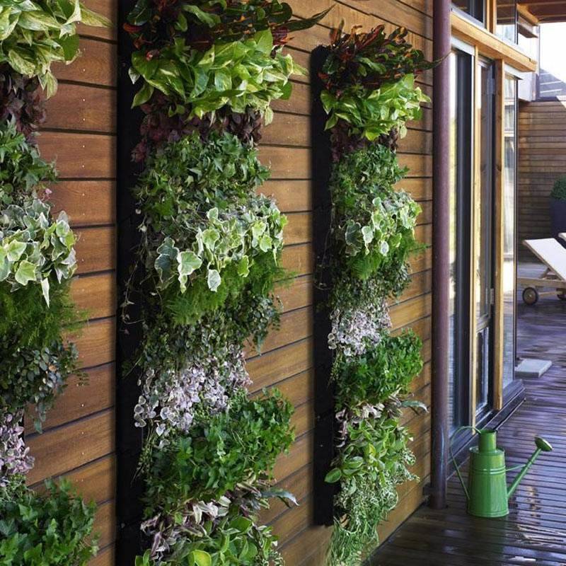 Вертикальное озеленение своими руками – опоры для вьющихся растений (садовые конструкции) в ландшафтном дизайне на даче + фото