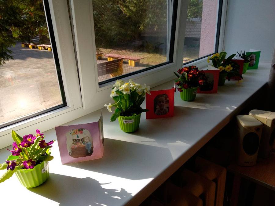Неприхотливые комнатные растения фото и название. 25 растений, которые будут цвести до весны