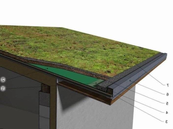 Озеленение крыши и кровли: технология проведения работ