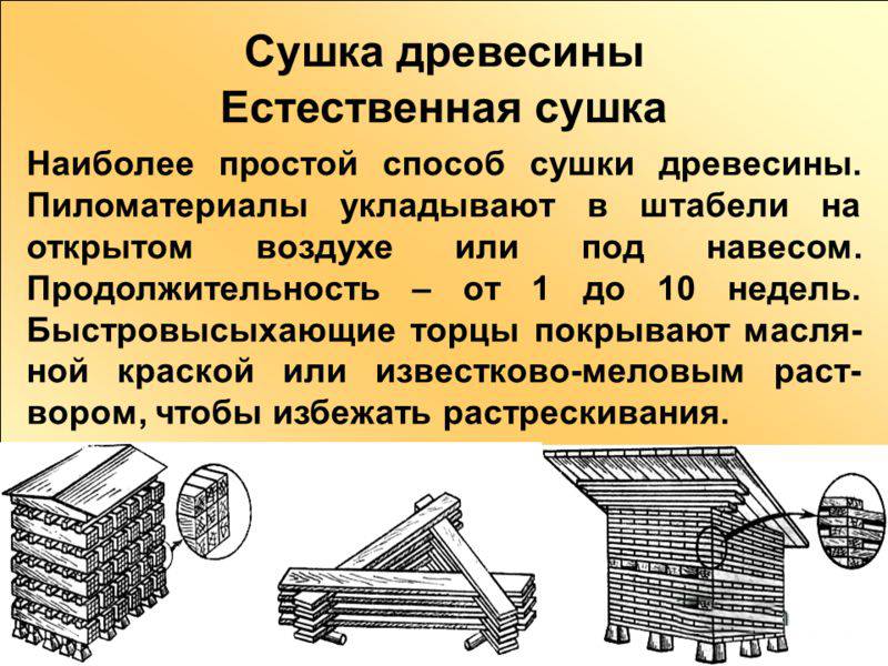 Древесина и время. Естественная сушка древесины. Методы сушки древесины. Способы сушки дерева. Естественная сушка пиломатериалов.