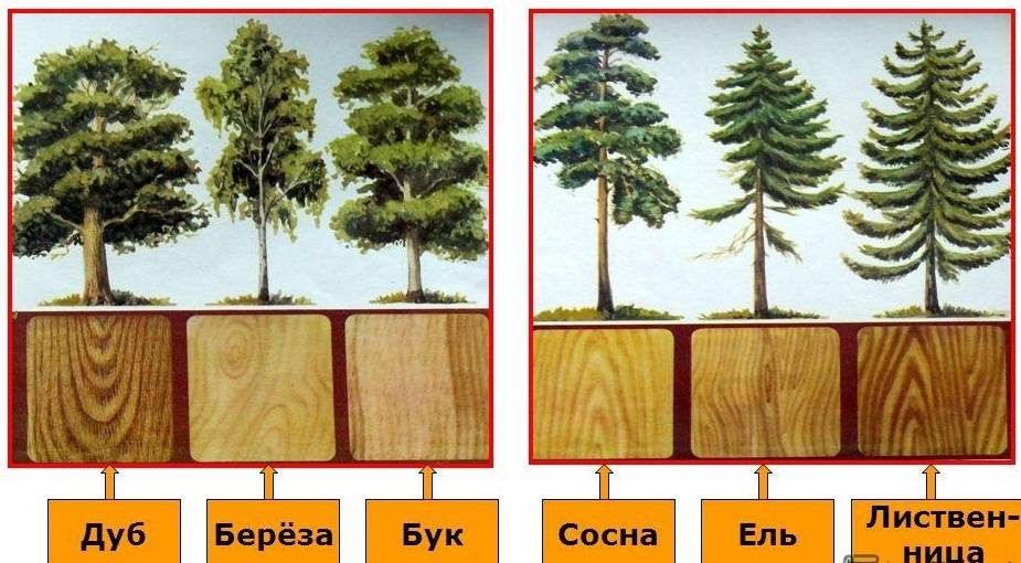 Какая из приведенных схем ошибочна лес древесина строительный