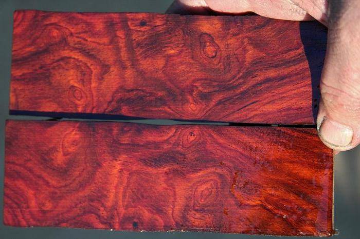 Стабилизация древесины – материалы, особенности способов