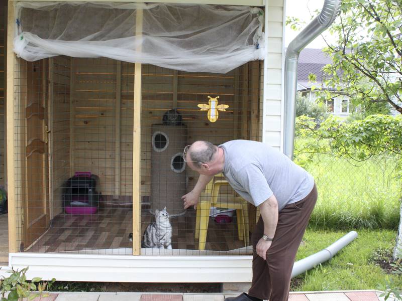 Как сделать вольер для кошек своими руками? строим на даче, в квартире и доме: идеи +фото — пошагово