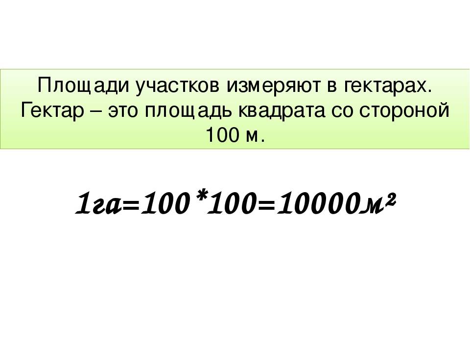 Как посчитать сотки земли и измерить площадь участка? на сайте недвио