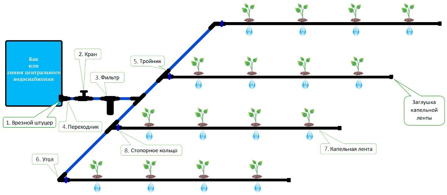 Как мы сделали систему автополива на даче. преимущества и недостатки капельного полива, фото — ботаничка.ru