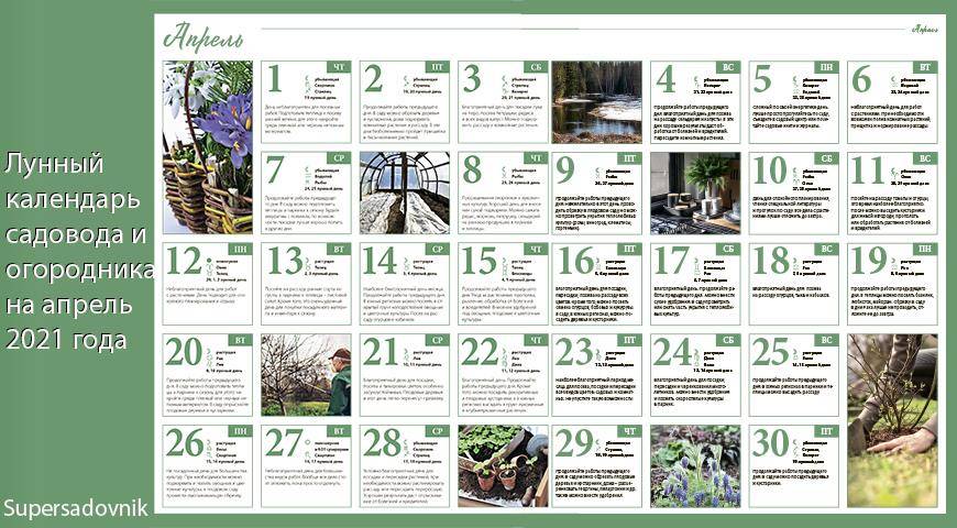 Календарь садовода и огородника на 2021 год: лучшее время для садовых работ