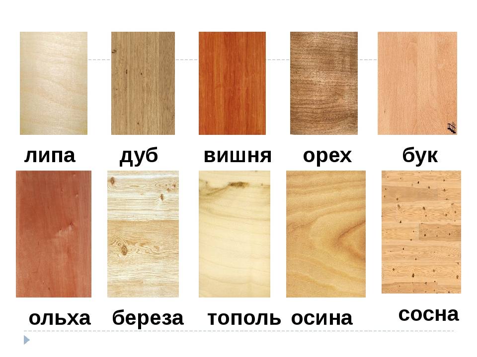 Из какого дерева делают мебель: породы дерева и особенности деревянной мебели в доме