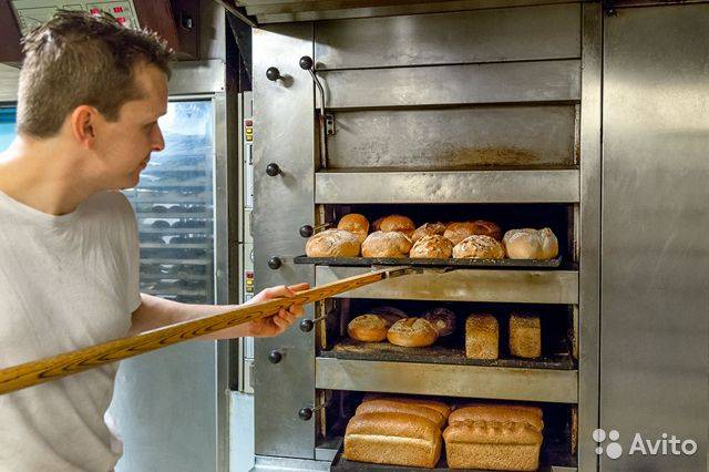 Печи для мини пекарни для хлеба и выпечки: как правильно выбрать?