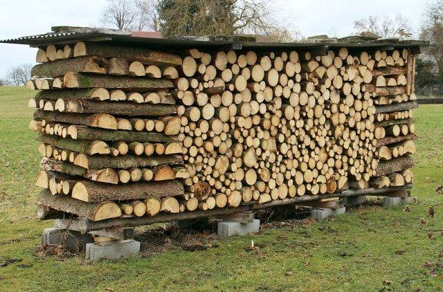 Хранение дров: как правильно заготавливать, хранить и сушить древесину