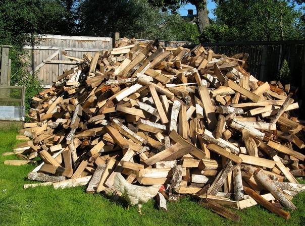 Лучшее дерево для дров: чем топить печь. полный обзор пород