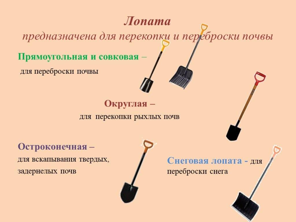 Чем заменить лопату на огороде? 7 полезных инструментов. фото — ботаничка.ru