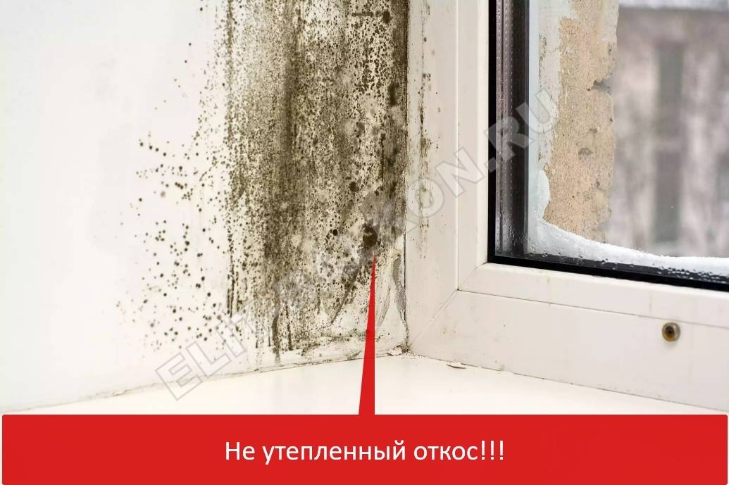 В квартире сыреет стена: причины и что делать
