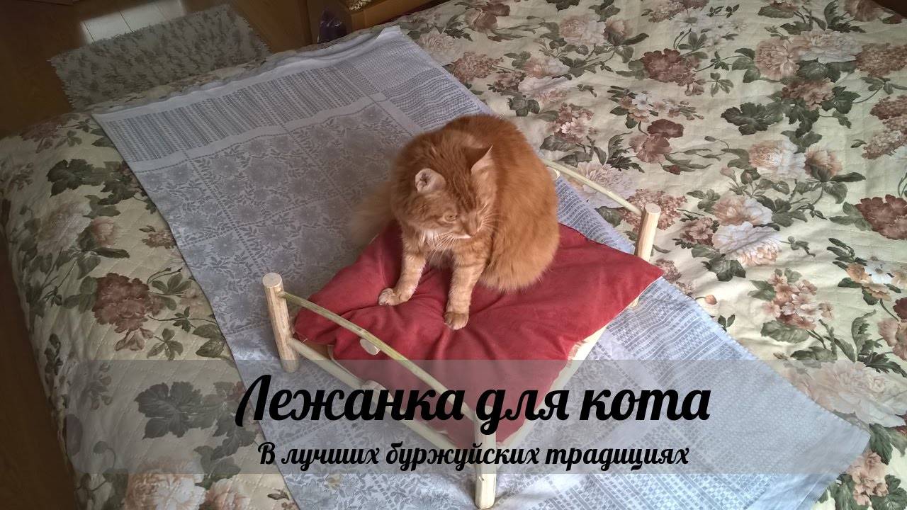 Лежанка для кошки своими руками: выкройки и пошаговые инструкции по изготовлению лежака для кота, как сделать его быстро и просто