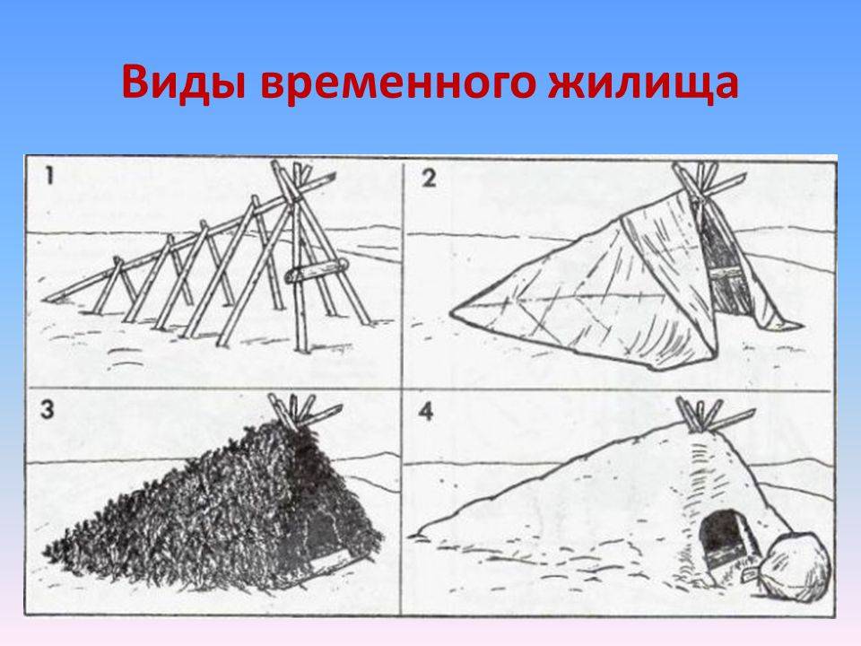 Виды шалашей в лесу в картинках