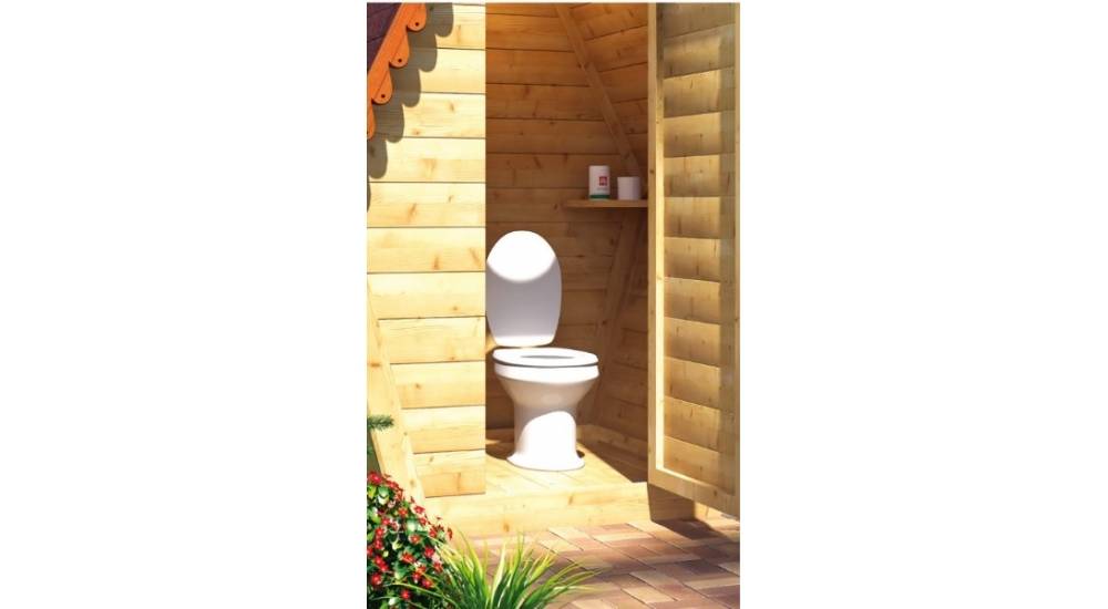 Виды унитазов для дачного туалета: прямые конструкции и био, пластиковые стульчаки и другие модели