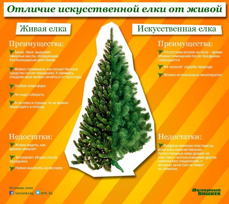 Что лучше: искусственная или натуральная елка? 5 правил, которые помогут сделать новый год экологичным