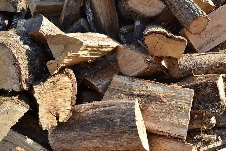 Какими видами дров лучше топить баню?