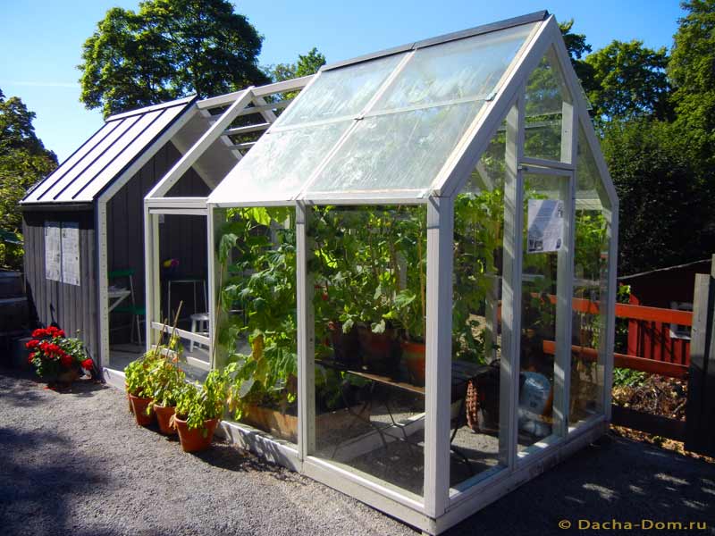 Дачная теплица (55 фото): маленькие «эко» варианты для дачи и сада, нужно ли регистрировать небольшие конструкции на участке