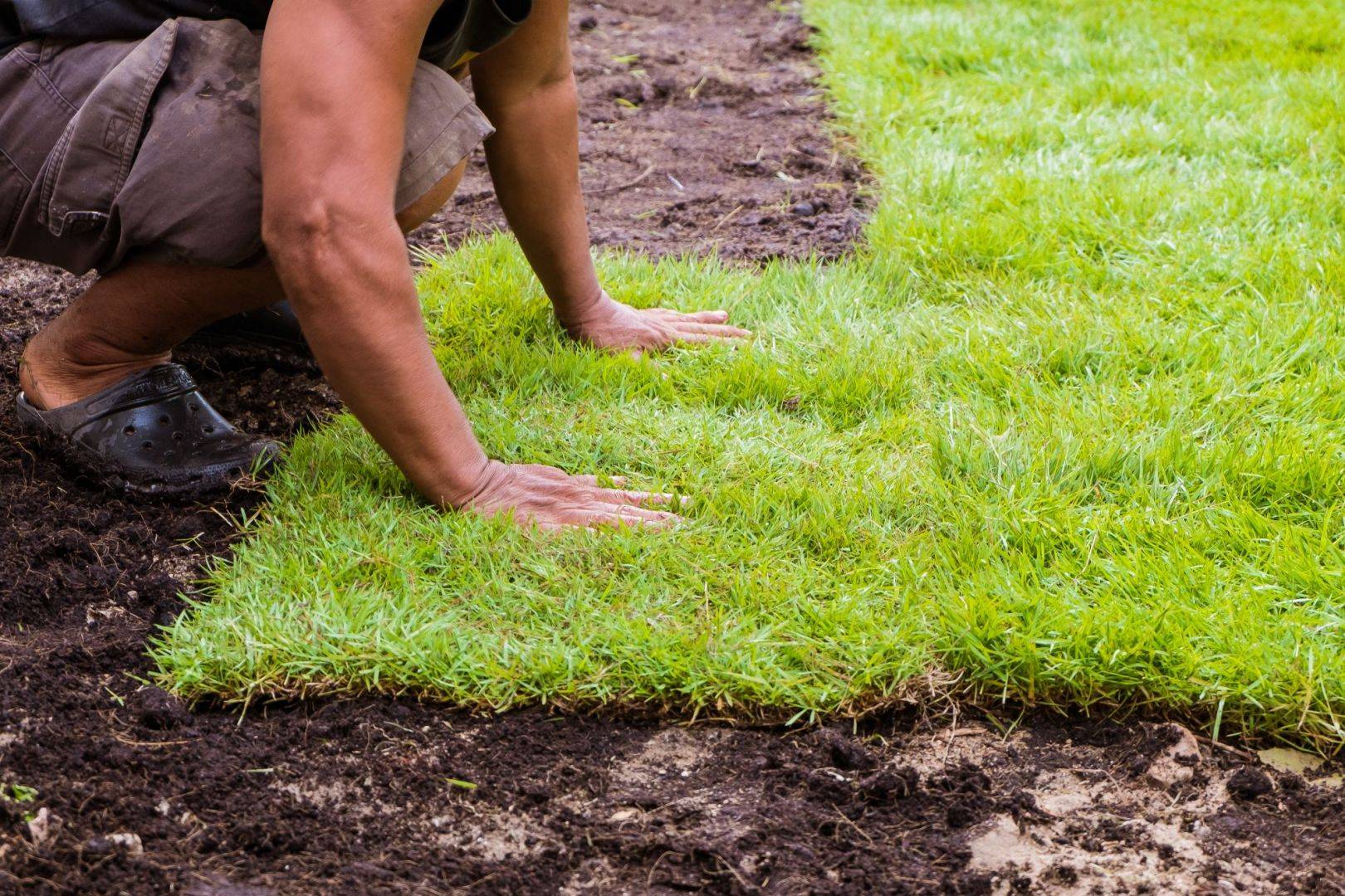 6 советов, как сделать газон на даче своими руками - строительный блог вити петрова