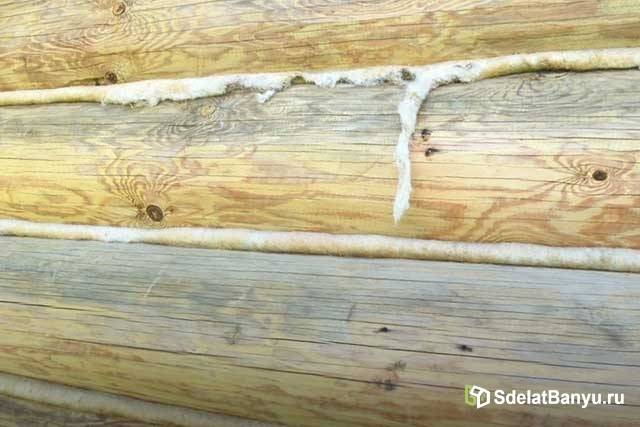 Трещины в деревянном доме: как появляются, чем опасны, как бороться отзывы о строительных фирмах.