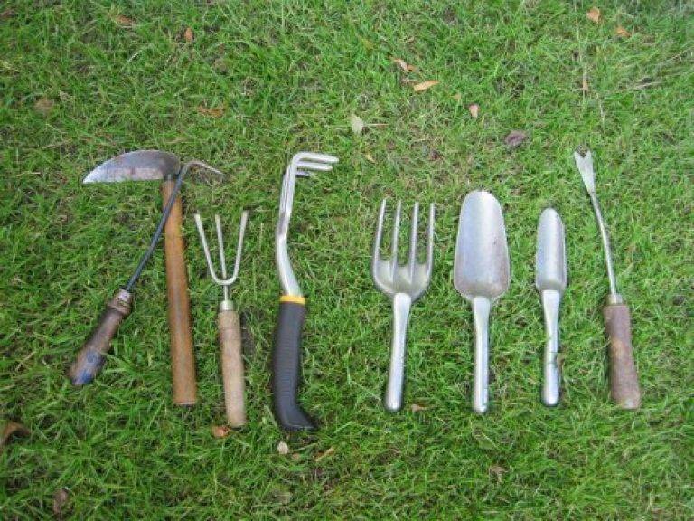 Инструменты для сада и огорода: необходимый инвентарь