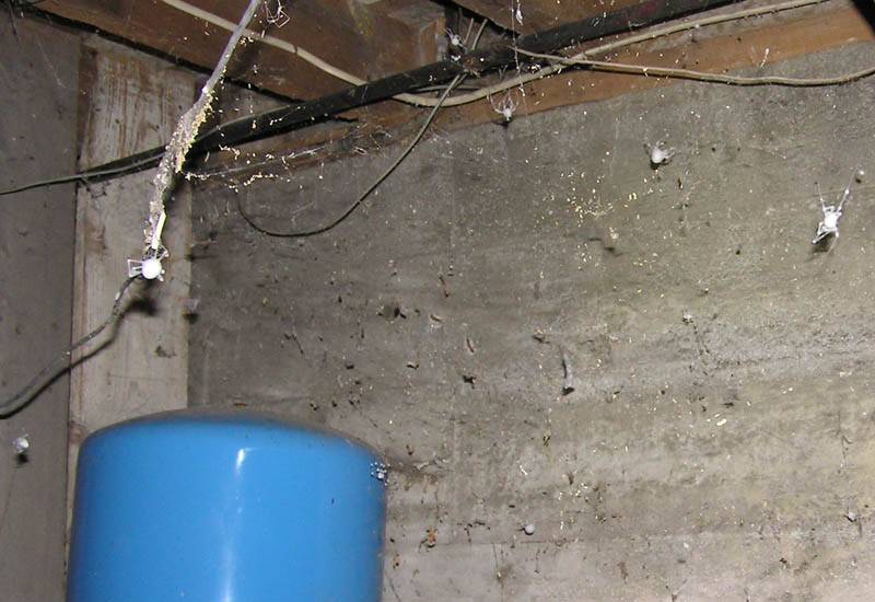 Как избавиться от грибка и плесени в бетонном погребе или подвале
