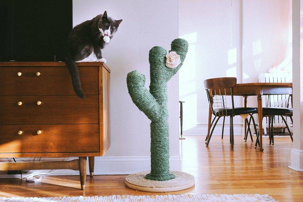 Когтеточки для кошек своими руками: поможем кошке и спасем мебель - kot-pes