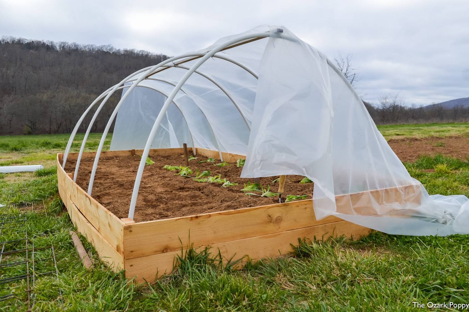 Сделать высокий парник. Парники и теплицы. Парник Greenhouse т-21. Деревянная мини теплица. Парники для дачи из пленки.