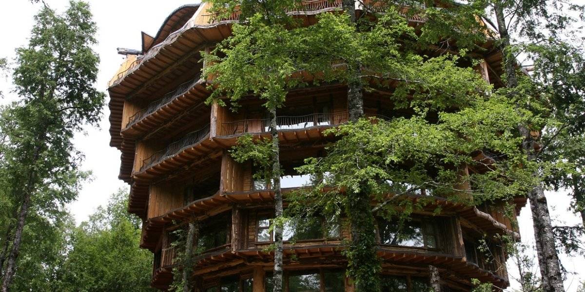 15 самых удивительных экологичных и комфортных домиков на деревьях