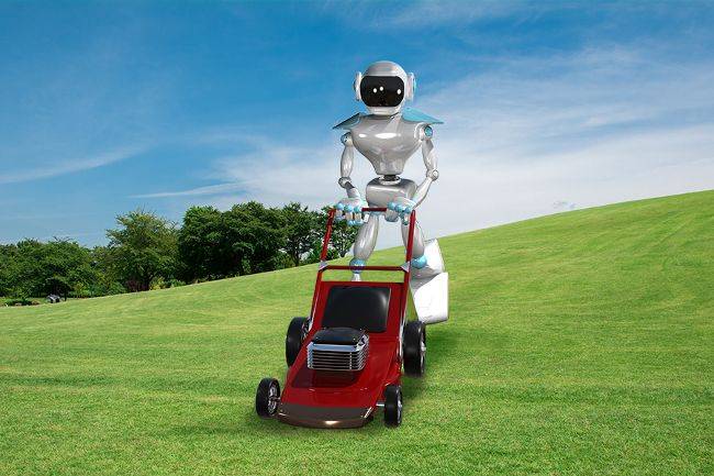 Какой выбрать робот-газонокосилку: топ-12 лучших моделей