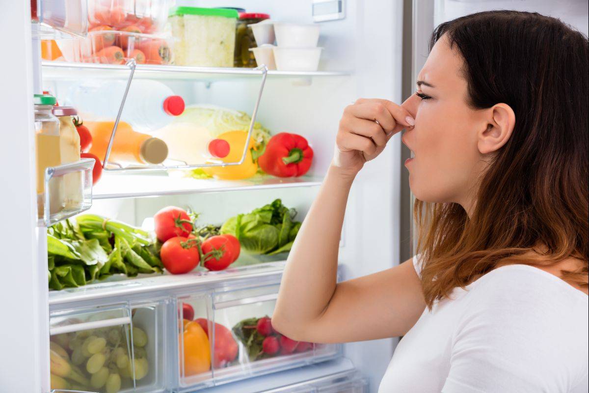 Как избавиться от тухлого запаха в холодильнике. как убрать запах протухшего мяса из холодильника?