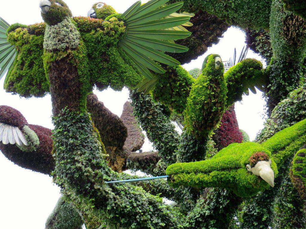 Садовые скульптуры из растений своими руками