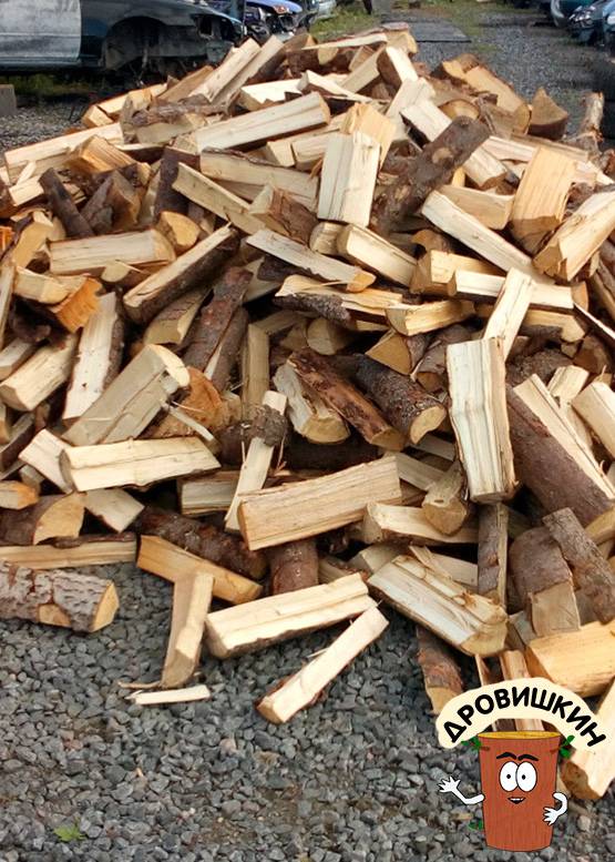 Какие дрова лучше для печки? теплотворная способность дров из разных пород древесины