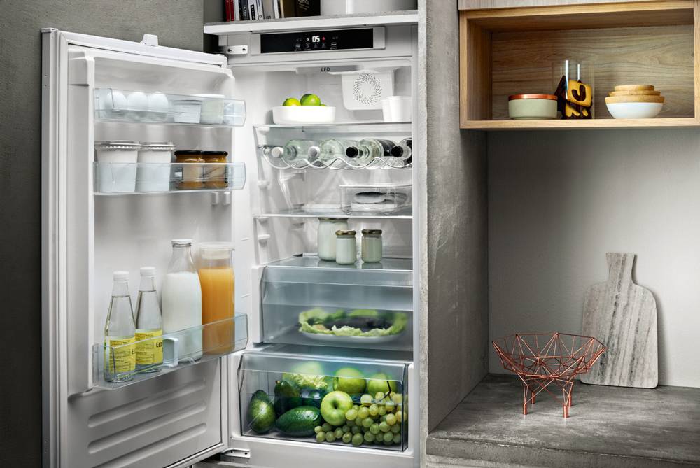 Какой холодильник лучше выбрать в 2022 году – отзывы специалистов и покупателей