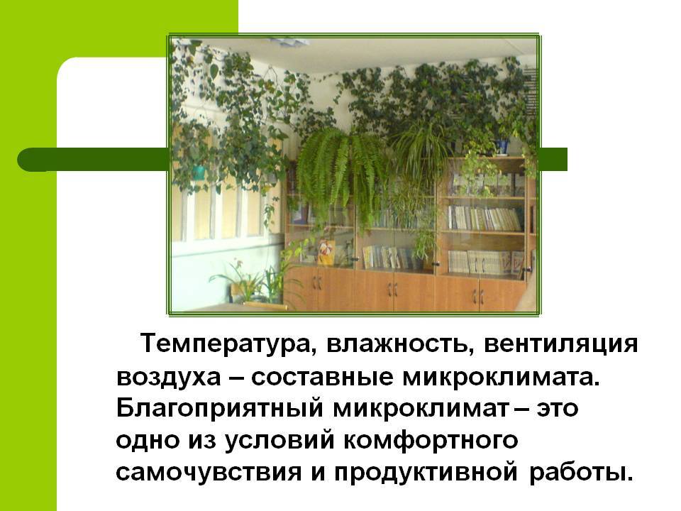 Благоприятный микроклимат. Микроклимат влажность воздуха. Микроклимат в классе. Микроклимат класса в школе. Микроклимат презентация.