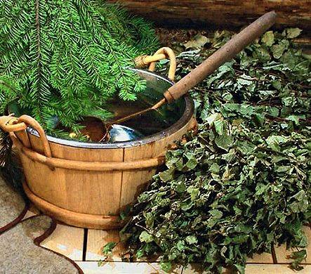 Чем полезны травы для бани? как сделать отвар для бани своими руками? рецепты и рекомендации | построить баню ру