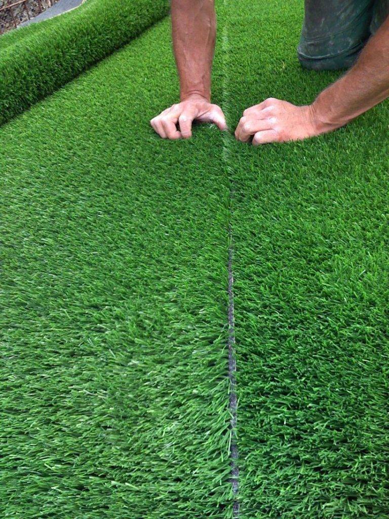 Как выбрать газонную траву для дачи — топ-5 лучших и рекомендации по выбору