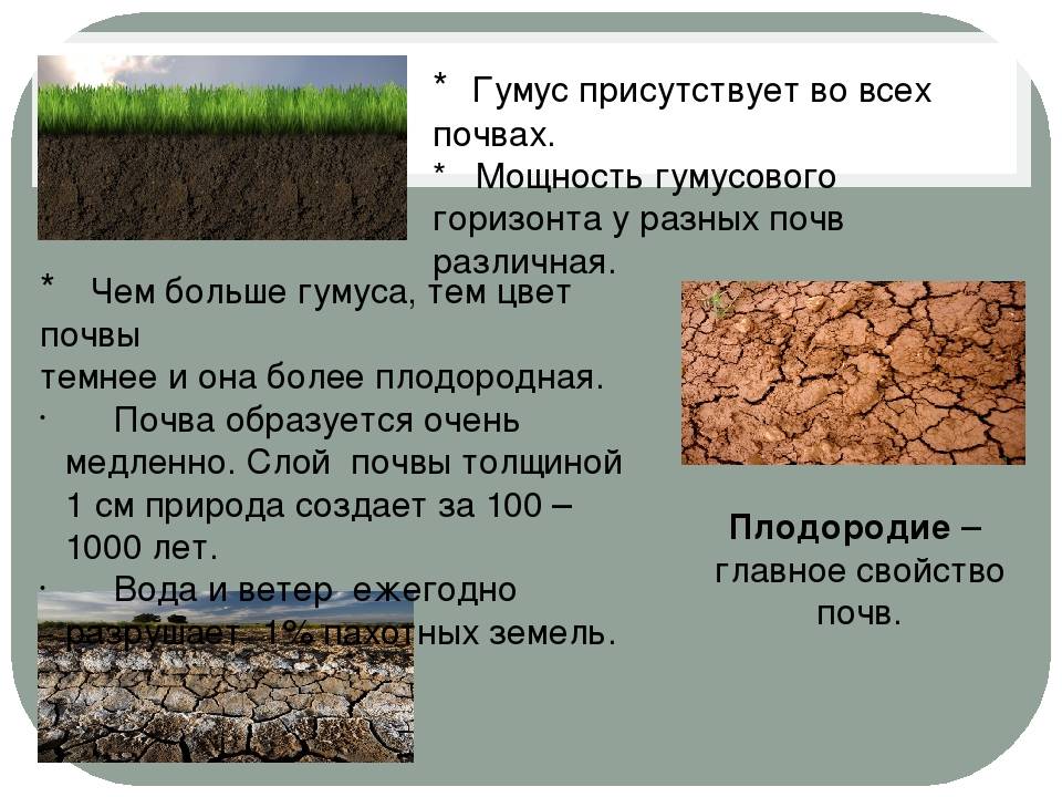 Исследование и анализ почвы: а мне это нужно?