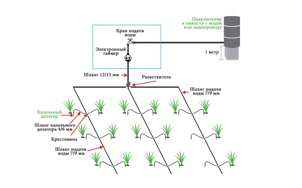 Схема капельного полива участка