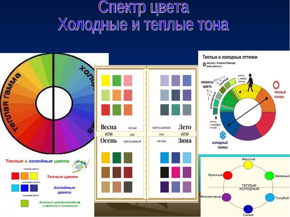 При оформлении презентации можно использовать теплые цвета что это значит цвета размещенные