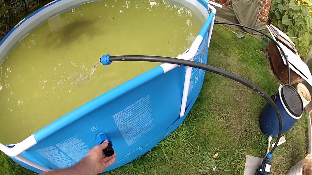Как очистить воду в бассейне народными средствами дешево