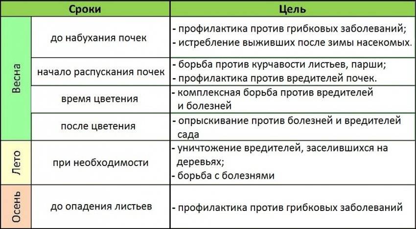 Сколько раз брызгать. Схемы обработки плодовых деревьев. Схема опрыскивания персика весной. Таблица обработки плодовых деревьев от болезней и вредителей. Схема обработки персика.