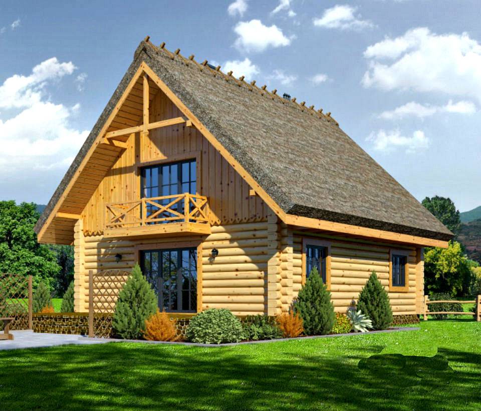 Как выбрать древесину для строительства дома: какие породы лучше выбрать. | заметки строителя